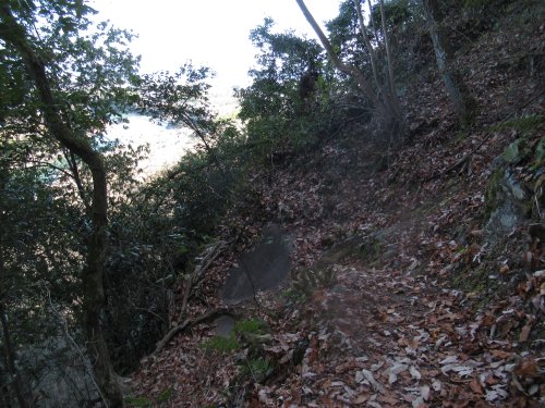 登山道